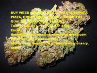 themedicinalcannabisdispensary.net image 9